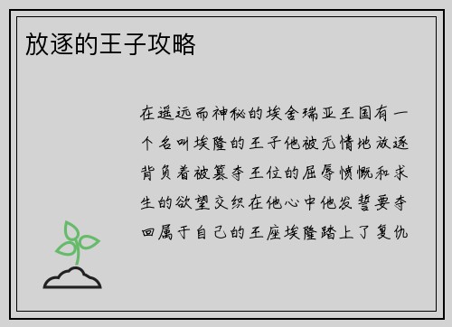 放逐的王子攻略