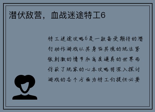 潜伏敌营，血战迷途特工6